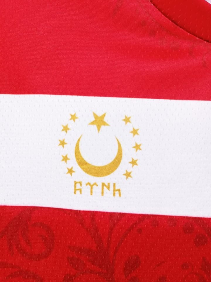 Kurt Motifli Yeni Nesil Türkiye Forma Takımı K0168 (Tek Kelime İsim ve Numara Yazılır) 2XL